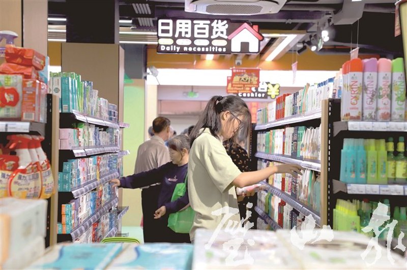 家庭必备：选择塑料收纳箱的全攻略